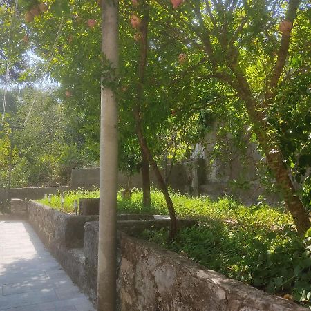 Apartman Arbanas Dubrovnik Exteriör bild