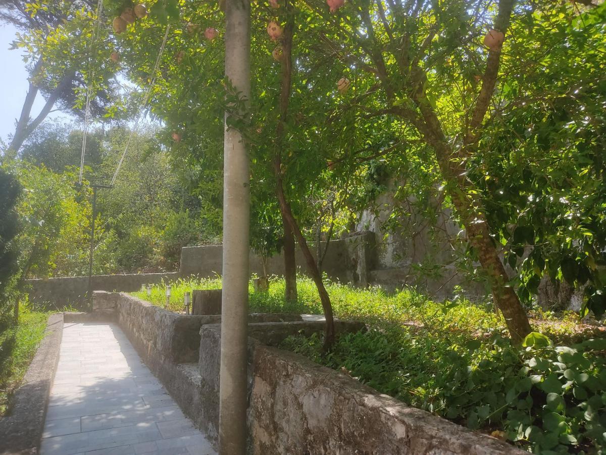 Apartman Arbanas Dubrovnik Exteriör bild